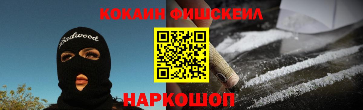 где купить наркоту  Кокаин Fish Scale  Вход с VPN  Мурино 