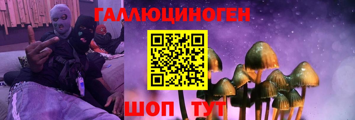 Мурино  Галлюциногенные грибы Magic Shrooms  Вход с VPN 